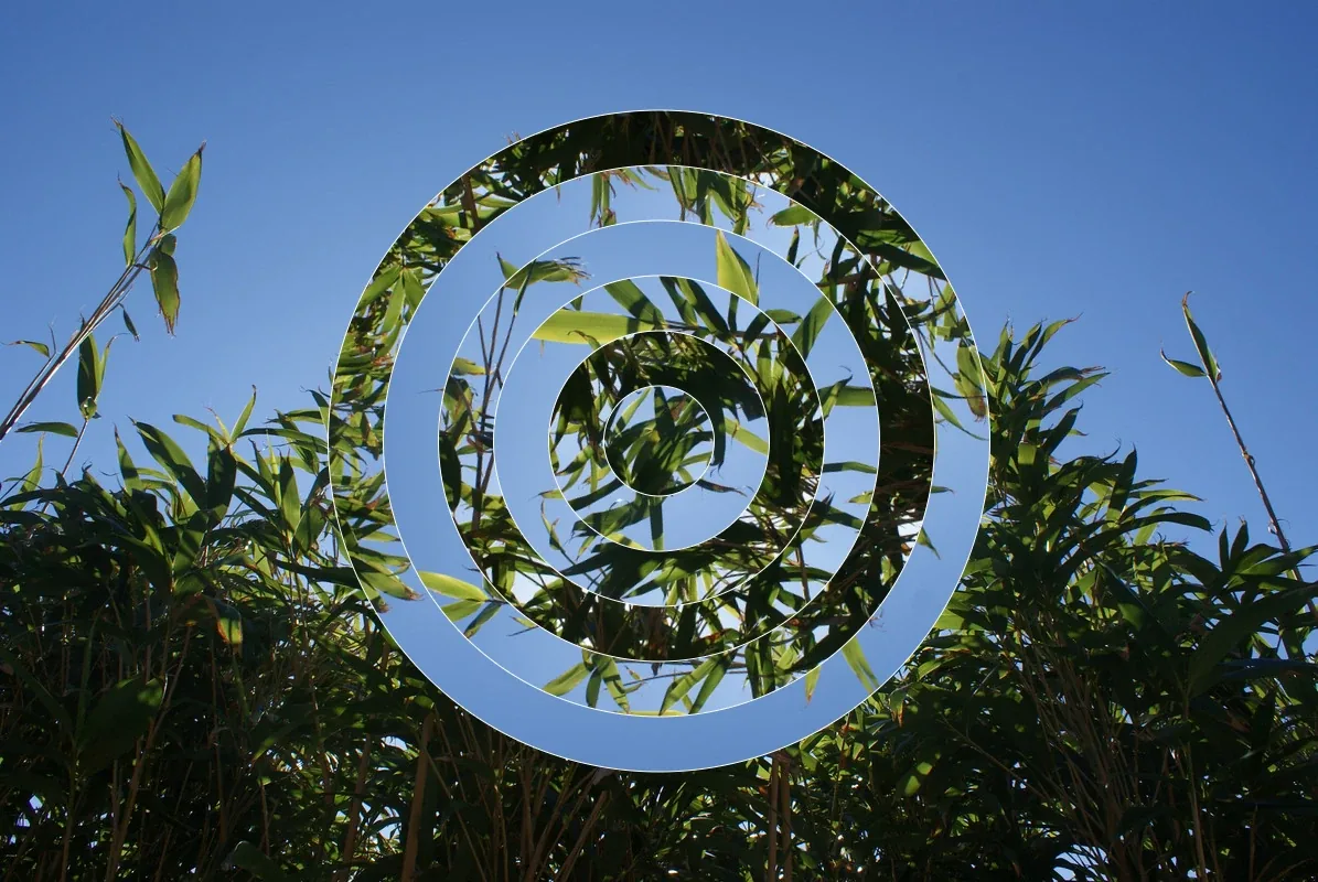 Bamboo split into rings, turned to a third arrangement