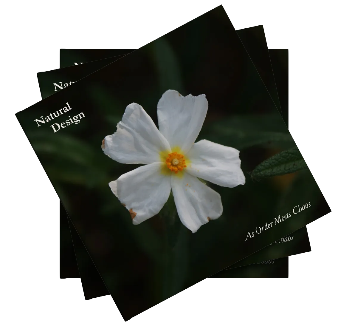 Natural Design publication cover with a white flower