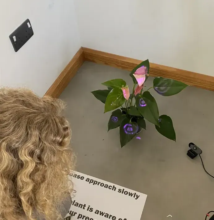Visitor close to the plant