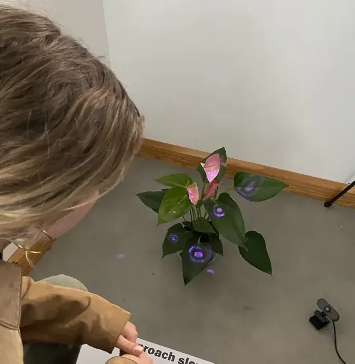 Visitor examining the plant