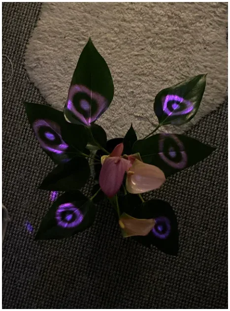 The finished effect: pink ripples on each leaf