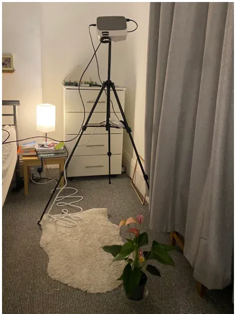 The projector on its tripod facing the plant